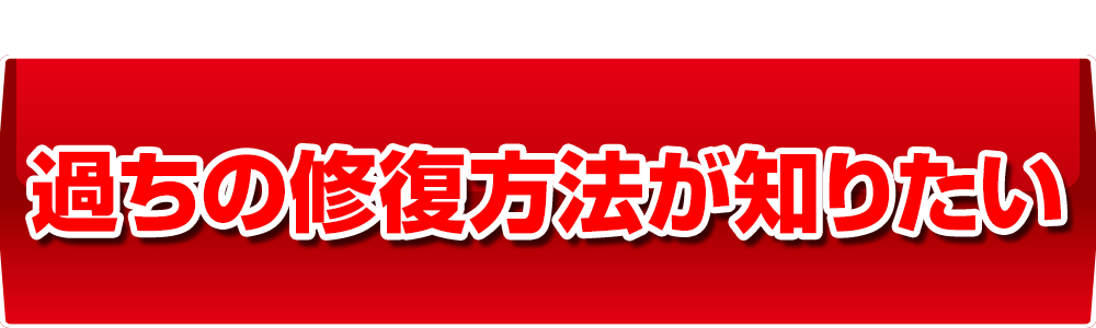 過ちの修復方法が知りたい